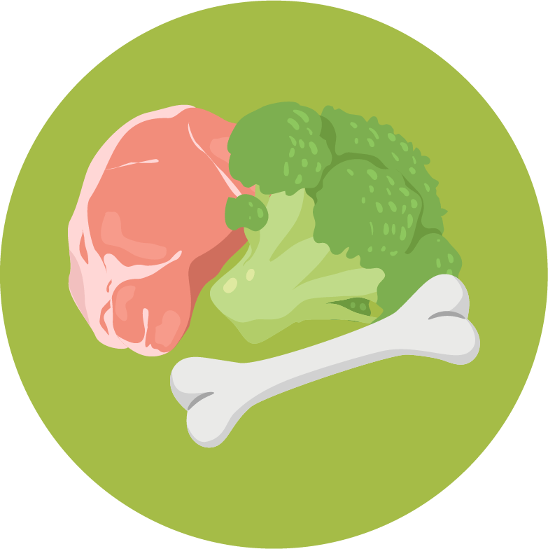 Raw Dog Food for Beginners Everything You Need to Feed Your Dog Raw